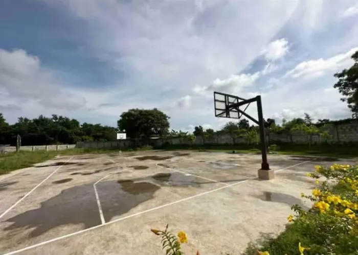The Purrfect Apartment Lapu-Lapu City