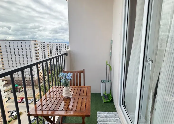 The Purrfect Apartment